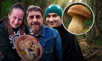 "Amerykanin" opanował polskie lasy. Jest smaczny, ale eksperci ostrzegają