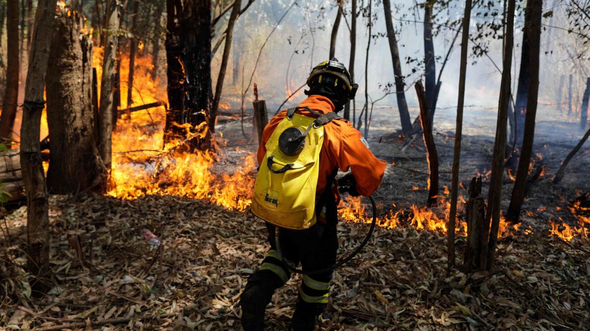 Pożar lasu w Brazylii