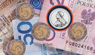 Nowe 50 zł już w obiegu. Narodowy Bank Polski pokazuje, jak wygląda