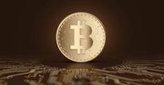 Najpopularniejsze kryptowaluty na świecie