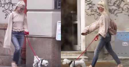 "Modna" Margaret z psem na spacerze (WIDEO)