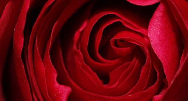 Kobiety Kobietom na Dzień Kobiet. O inspiracjach i solidarności