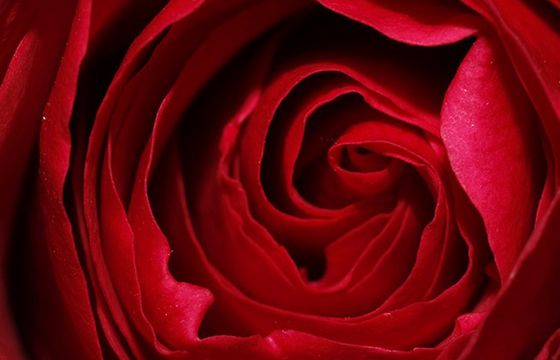 Kobiety Kobietom na Dzień Kobiet. O inspiracjach i solidarności