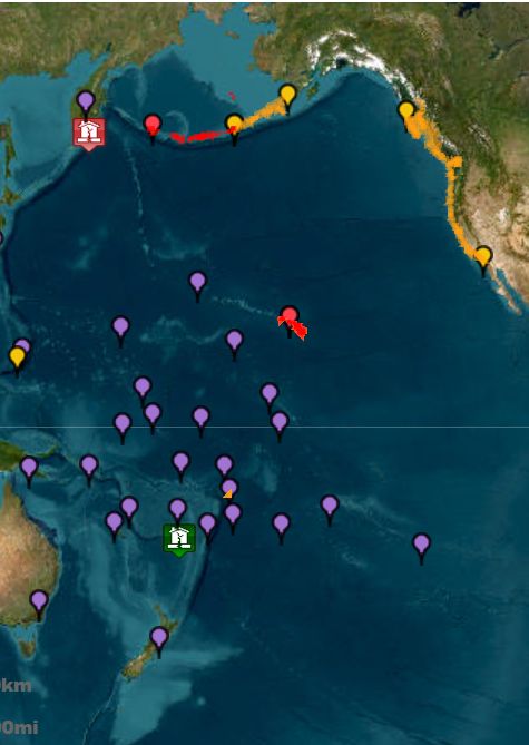 Fala tsunami dotarła do Alaski. "Najwyższy odnotowany poziom"