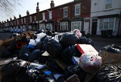 Birmingham zalały śmieci. Po ulicach biegają "szczury wielkości kotów"