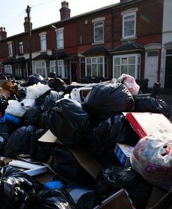 Birmingham zalały śmieci. Po ulicach biegają "szczury wielkości kotów"