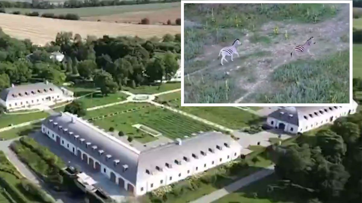 Posiadłość rodziny Orbana. Nagranie wzbudziło emocje