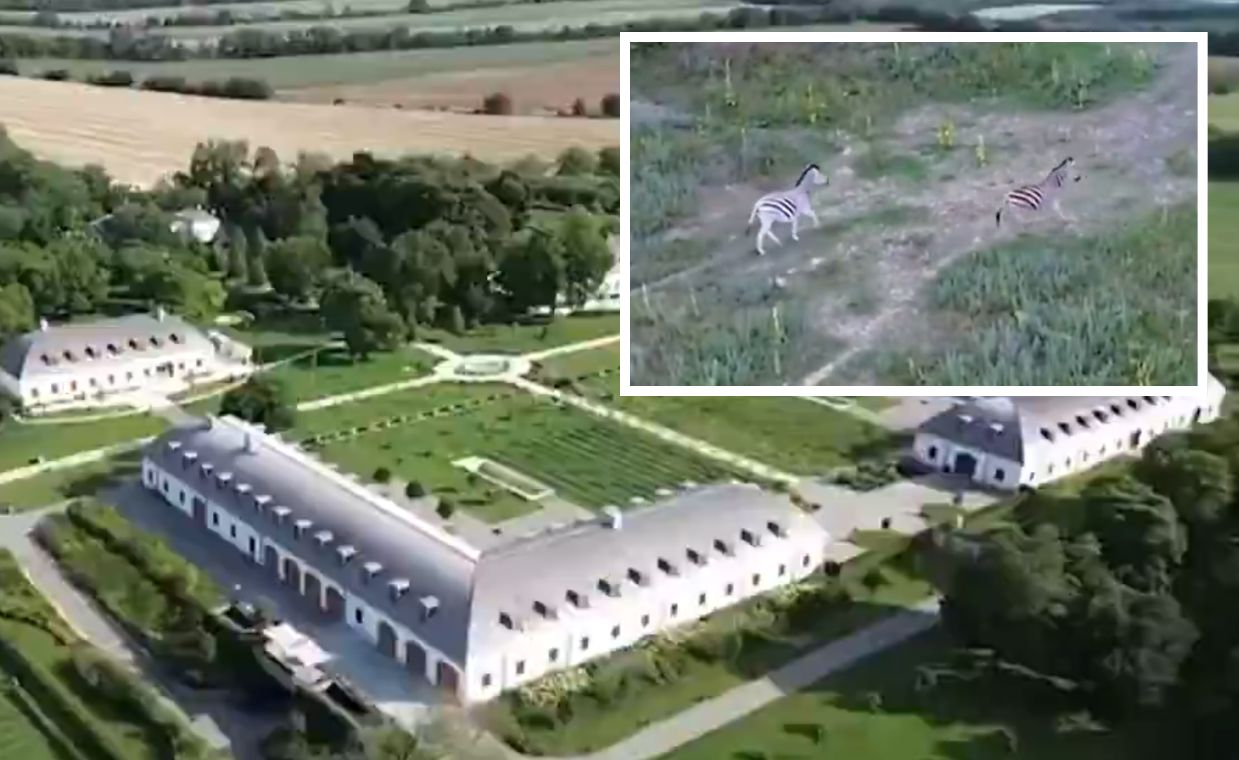 Posiadłość rodziny Orbana. Nagranie wzbudziły emocje