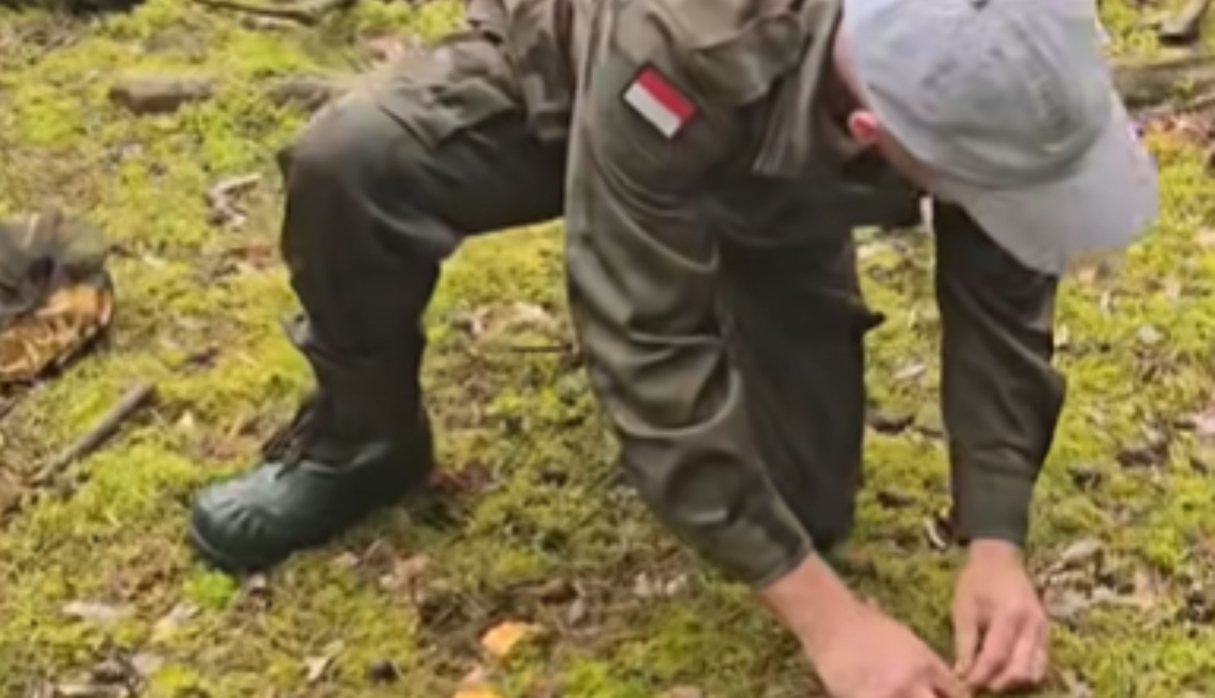 Pokazał, jak należy zbierać kurki.