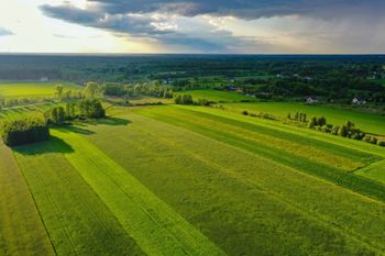 KOWR przyspiesza dzierżawę gruntów. Szansa dla gospodarstw rodzinnych