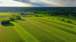 KOWR przyspiesza dzierżawę gruntów. Szansa dla gospodarstw rodzinnych