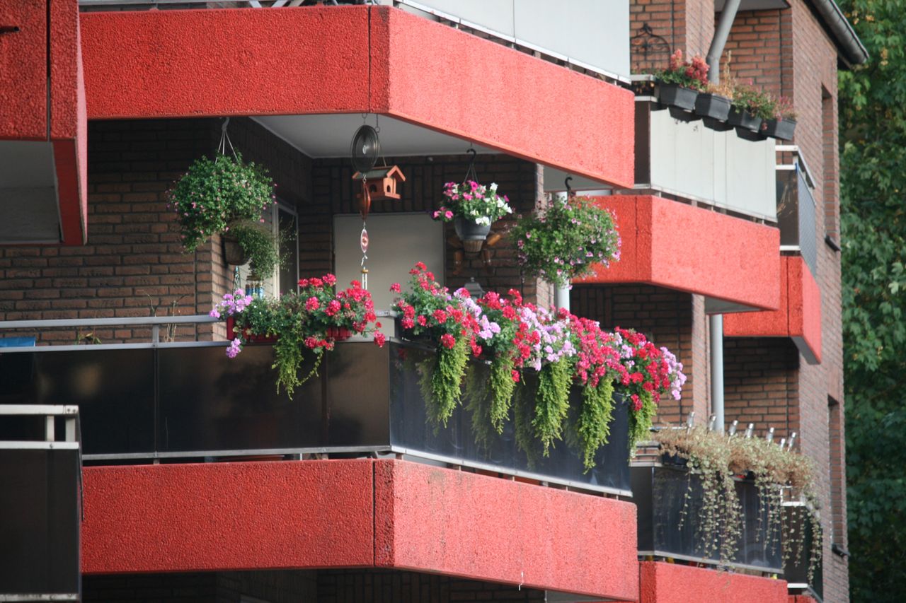 Eko balkon. Naturalne nawozy i domowe środki ochrony roślin