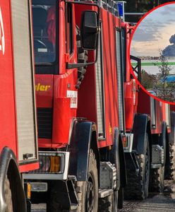 Ogromny pożar we Wrocławiu. Dym widać z 40 km
