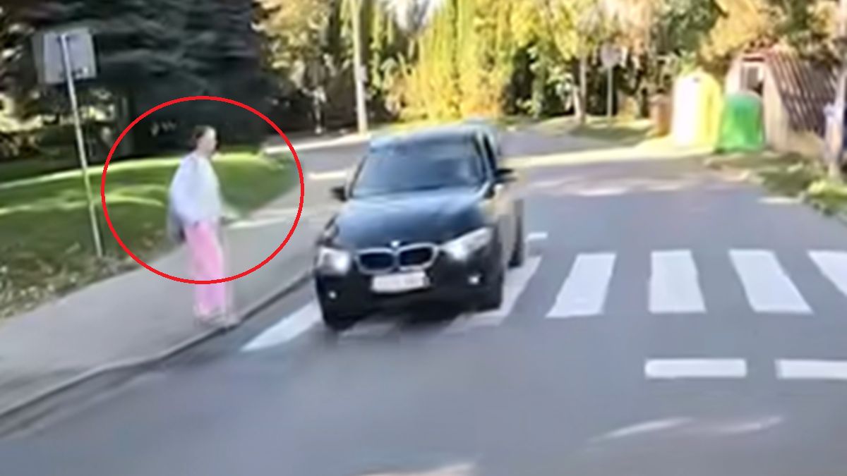 Piesza weszła na pasy.