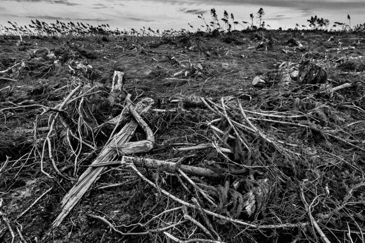 16 Polaków na podium oraz ponad 30 wyróżnionych w International Photographer of the Year 2017 7