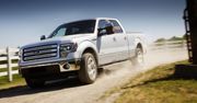 Ford F-150 (2013) - przypudrują kolosa