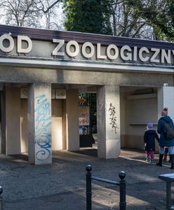 Jest akt oskarżenia przeciwko byłej dyrektorce ZOO. Wyrządziła szkody na ponad 100 tys. zł