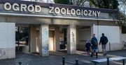 Jest akt oskarżenia przeciwko byłej dyrektorce ZOO. Wyrządziła szkody na ponad 100 tys. zł