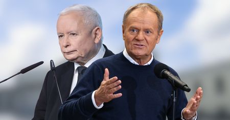 Sondaż: KO przed PiS, Konfederacja na podium