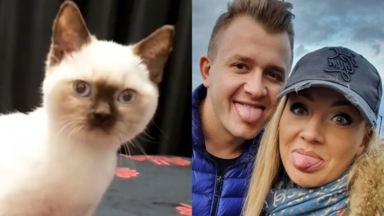 "Nowy członek rodziny" Dawida Narożnego okazał się kotem