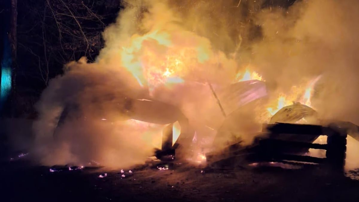 Pożar pasieki pod Warszawą.