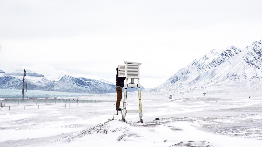 Zwycięzcy ZEISS Photography Award 2017 pokazali interesujące spojrzenie na mieszkańców świata 1
