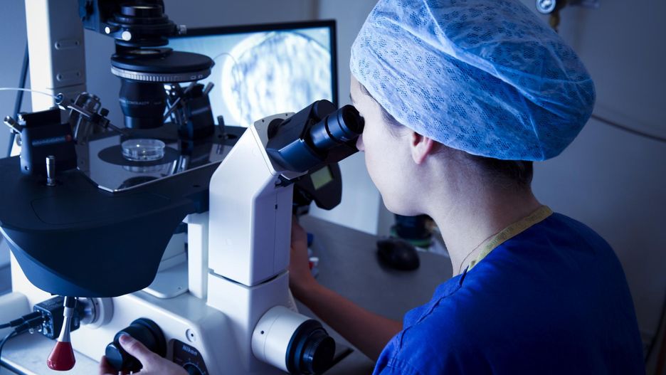 Internetowi dawcy nasienia nie są weryfikowani