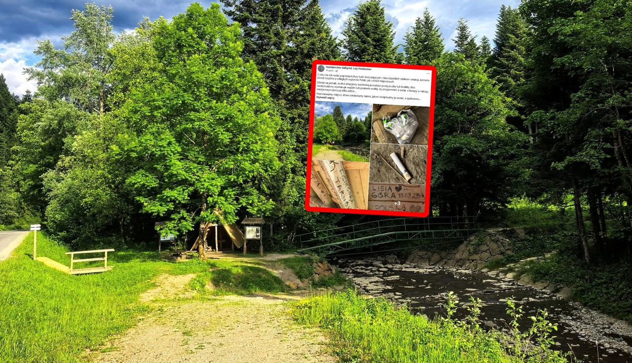 Taki widok w Bieszczadach. Zdjęcia obiegają sieć. Ręce opadają