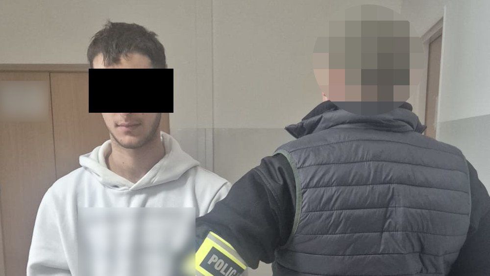 policja