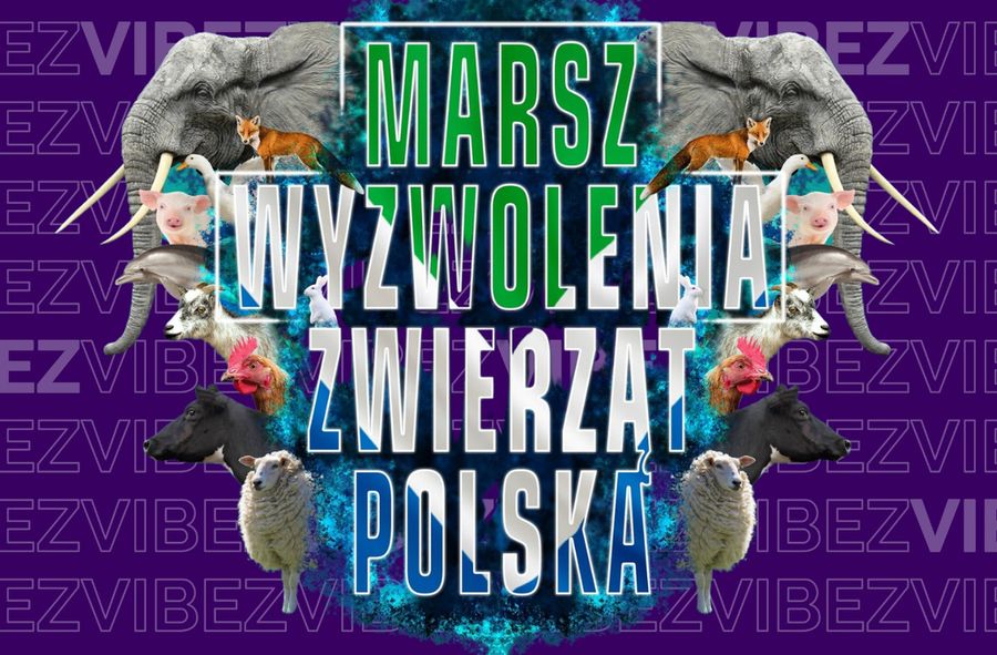 Marsz Wyzwolenia Zwierząt odbędzie się w Warszawie 2 września