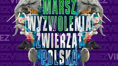 Marsz Wyzwolenia Zwierząt w Warszawie. "Mają prawo nie być ofiarami próżności człowieka"