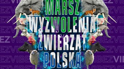 Marsz Wyzwolenia Zwierząt w Warszawie. "Mają prawo nie być ofiarami próżności człowieka"