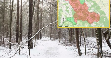 Leśnicy pokazali mapę. "Zagrożenie życia"