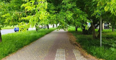 Chwila nieuwagi i możesz zostać zmieciony z roweru lub hulajnogi (zdjęcia)
