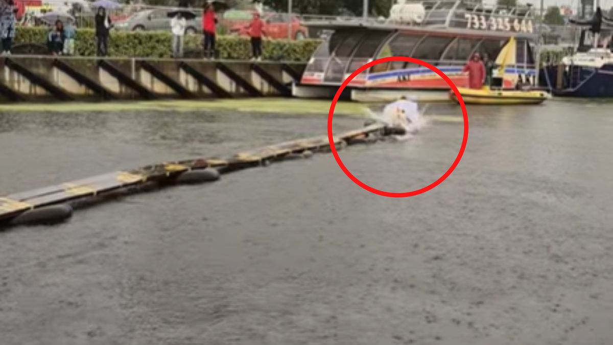 Niecodzienna zabawa w porcie.