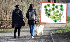 Totalny zwrot w pogodzie. Tak ciepło dawno nie było