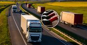 Transport z Argentyny zatrzymany. To miało trafić na sprzedaż w Polsce