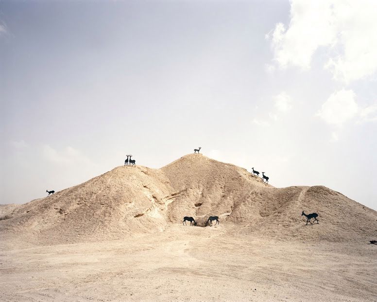 Fotofestiwal 2015 - zapowiedź 4