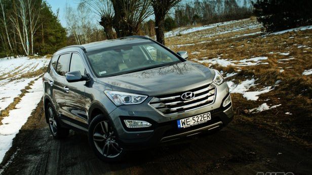 Zdjęcie ilustracyjne do artykułu