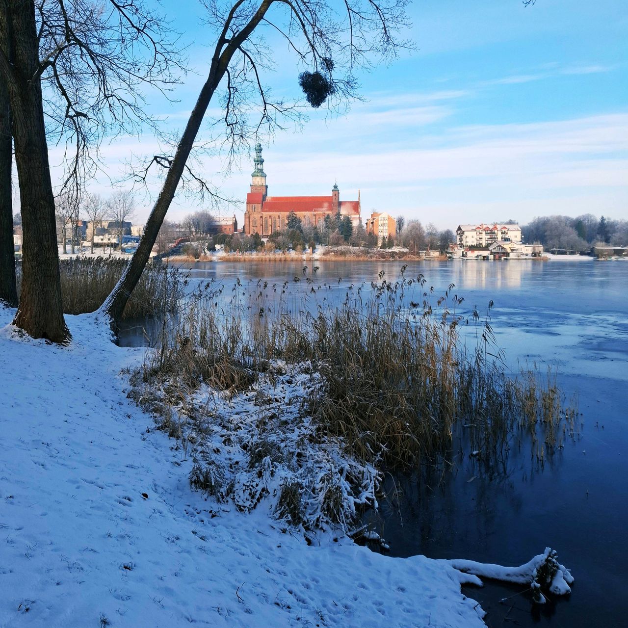 Toruń już świętował, teraz pora na Chełmżę! W programie znalazł się m.in. koncert