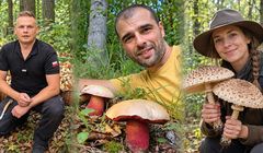 Grzybfluencerzy zbierają miliony wyświetleń. Marki dopiero wchodzą do lasu