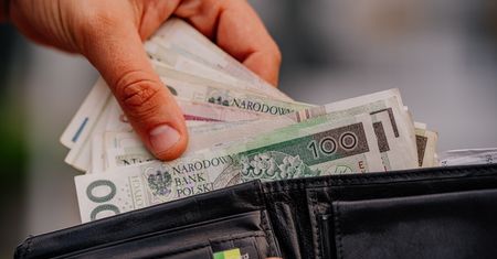 Nietypowa oferta pracy. Szukają ludzi do zbierania pieczarek
