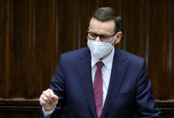 "Nowy Ład" – PiS może strzelić byka (Opinia)