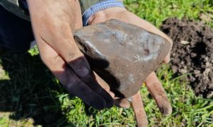 Odkrycie koło Łodzi. Ten okaz spadł z nieba. "Pierwszy w Polsce"