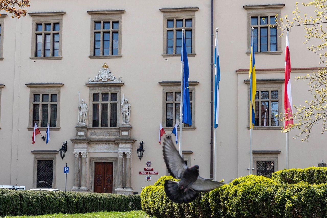 Praktyki w magistracie w Krakowie nie będą już bezpłatne. "Doceniamy pracę młodych"
