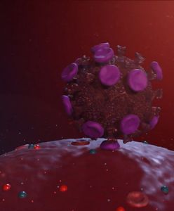 Koronawirus. Nowe stanowisko WHO ws. pandemii. Organizacja ostrzegła świat