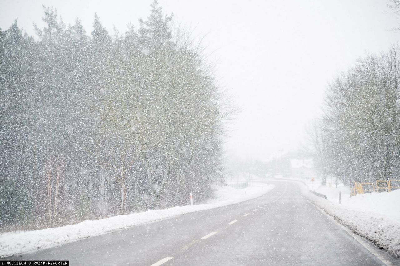 Ostrzeżenia II stopnia. Fala mrozu i śnieżyc