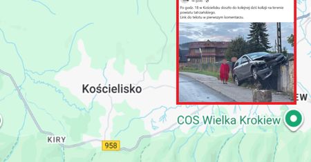 Zatrzymał się na płocie. Zaskakujące sceny w Kościelisku
