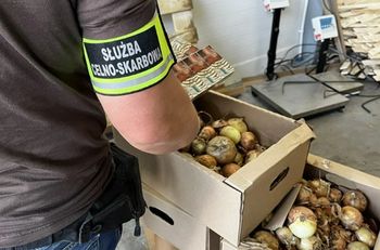 Grójec: Miliony papierosów. Gigantyczny przemyt udaremniony