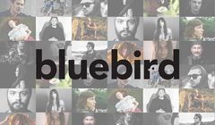 Koniec agencji zrzeszającej twórców. Istniała ponad sześć lat